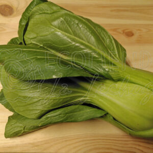 Pak Choi ECO (Unidad)