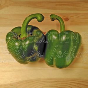Pimiento Verde California ECO (Kilo)
