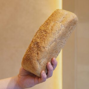 Molde de Quinoa 600g Sin Gluten – LAIB