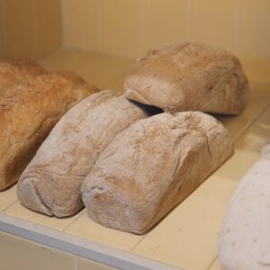 Molde 100% Sarraceno 600g Sin Gluten – LAIB